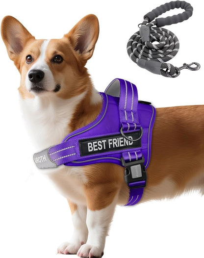 AUROTH Dog Harness and Leash Set, Soft Padded No Pull Dog Harness with 5.25FT Dog Leash, No Choke, Easy On Pet Vest, Adjustable Reflective Dog Vest Small Sized Dog, Easy Walking and Training