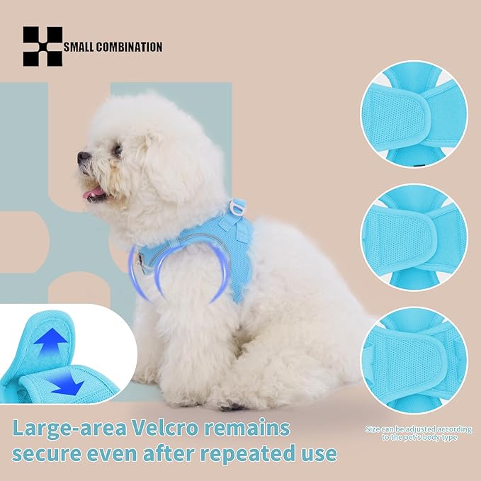 Adjustable Dog Harness with Leash, Reflective Mesh, No-Pull Design，Matching Lead Rope (SkyBlue, L)