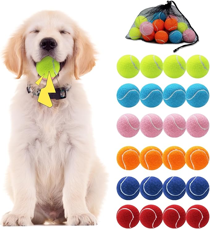 Swingers Squeaky Tennis Balls for Dog,2.5 inch Training Tennis Balls,Exercise Ball for Pet Dog with Mesh Carry Bag Easy to Transport (Multicolor, 24 Pack)