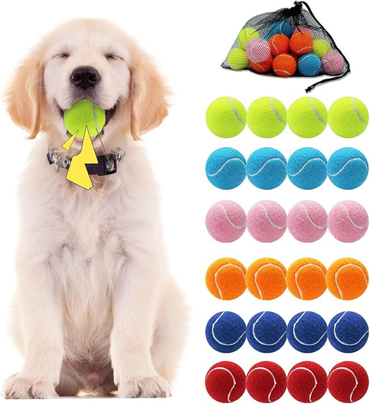 Swingers Squeaky Tennis Balls for Dog,2.5 inch Training Tennis Balls,Exercise Ball for Pet Dog with Mesh Carry Bag Easy to Transport (Multicolor, 24 Pack)