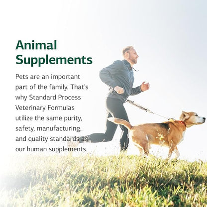 Standard Process Canine Adrenal Support - Nutritional Canine Supplement for Liver & Kidney Support - Powder Formula to Aid Dog's Adrenal Glands & Health - 100 g