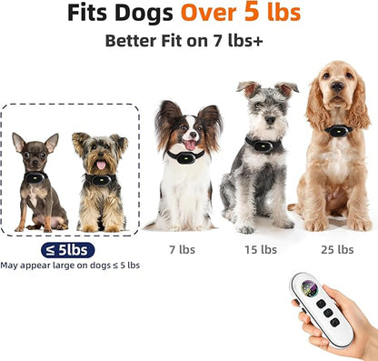 Ultra-Small Dog Shock Collar with Remote, Ultra-Light & Thin Dog Training Collar, Tailored for Small Dogs 5-15lbs & Medium Dogs, 198-Level Precise Control, Waterproof, Rechargeable (Not Auto Collar)