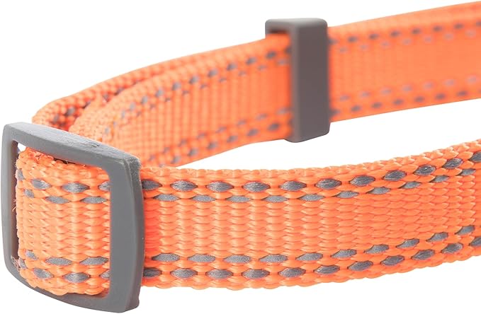 Browning Classic Preformance Webbing Pet Collar, Fully Adjustable, Available in Solid Colors and Camo Patterns, Safety Orange, Medium