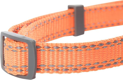 Browning Classic Preformance Webbing Pet Collar, Fully Adjustable, Available in Solid Colors and Camo Patterns, Safety Orange, Small