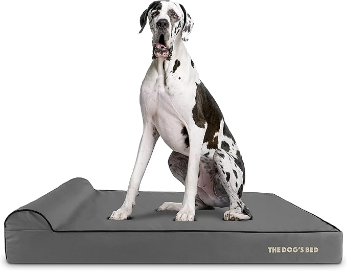 The Dog’s Bed Orthopedic Headrest Dog Bed XXL Grey/Black, Memory Foam, Pain Relief for Arthritis, Hip & Elbow Dysplasia, Post Surgery, Lameness, Waterproof Washable Cover, Veterinary Approved