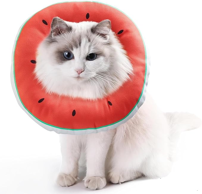 Jevnd Cat Cone Collar Soft Kitten Donut, Cat Cones to Stop Licking After Surgery and Scratching, Waterproof Elizabethan e Collar for Cats After Neuter, Adjustable Comfy Cats Neck Cone Pillow for Kitty