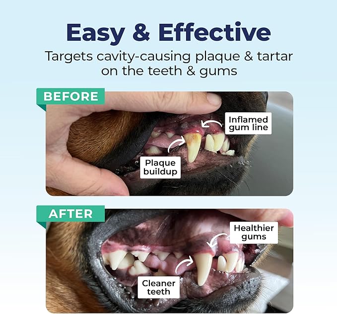 Vetnique Dentabliss - Dog Teeth Cleaning Finger Mitt Dental Wipe - Dog Plaque & Tartar Prevention with Brushing Beads - Flavored Dog Teeth Wipes, Dog Breath Freshener (Peppermint)