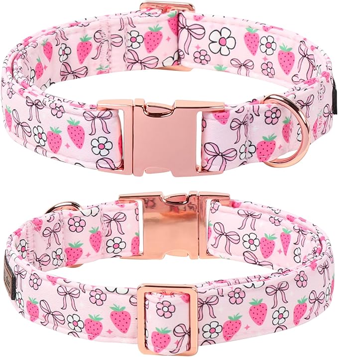 Lionet Paws Strawberry Floral Dog Collar with Sailor Bow, Spring Pink Bow Dog Collars Bow Tie for X-Large Dogs, Neck 16-26 inches