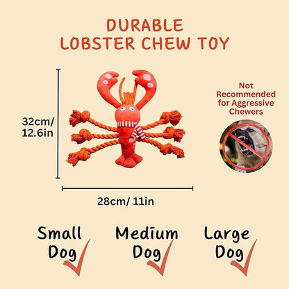 Pawfoo Lab Squeaky Dog Toys, Rope Tug of War Dog Toys, Interactive Lobster Plush Chew Toys, Dog Gifts for Puppy, Small Medium Large Dogs