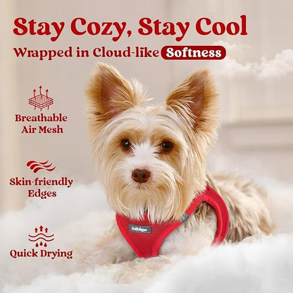 rabbitgoo Small Dog Harness, Step-in Soft Mesh Puppy Vest with Safety Buckle, Breathable Reflective Pet Harness for Small Sized Dogs, Red M