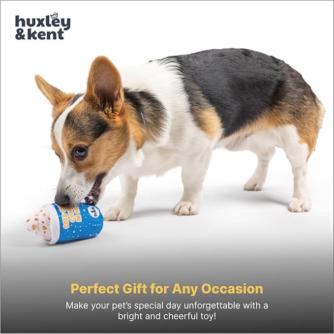 Huxley & Kent Funny Dog Toy w/Squeaker – Power Plush Squeaky Dog Toys for Small Dogs – Durable Small Stuffed Animal for Indoor Play & Fetch - Tiny Tuff Arctic Blast Treat