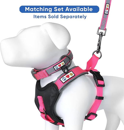 Pawtitas Personalized Pink Dog Leash 6 ft Custom ID Lead for Dogs & Puppies Reflective Comfortable Padded Handle Embroidered Name & Phone Number