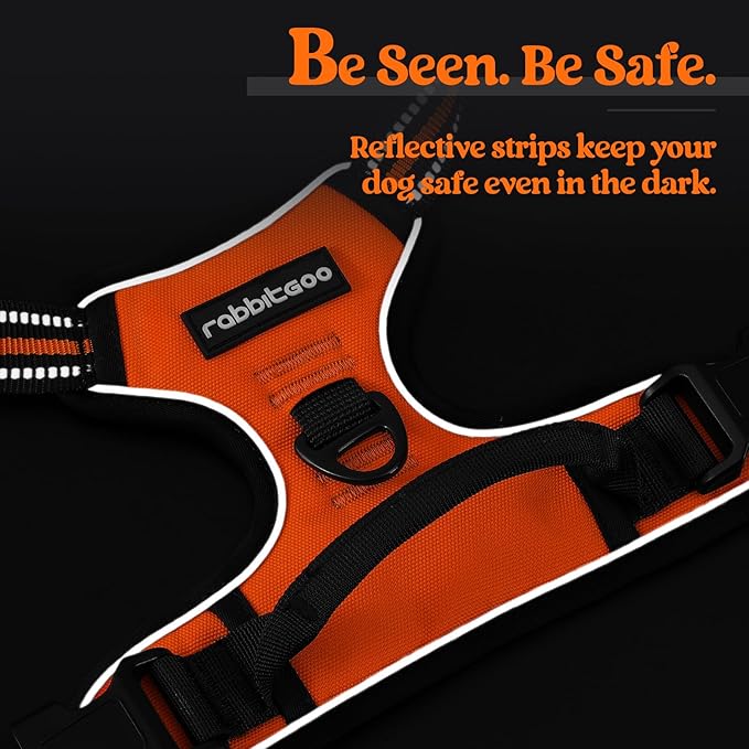 rabbitgoo Dog Harness No Pull with 2 Leash Clips, Adjustable Soft Padded, Reflective Oxford No Choke Pet Vest with Easy Control Handle for Medium Sized Dogs,Orange, M