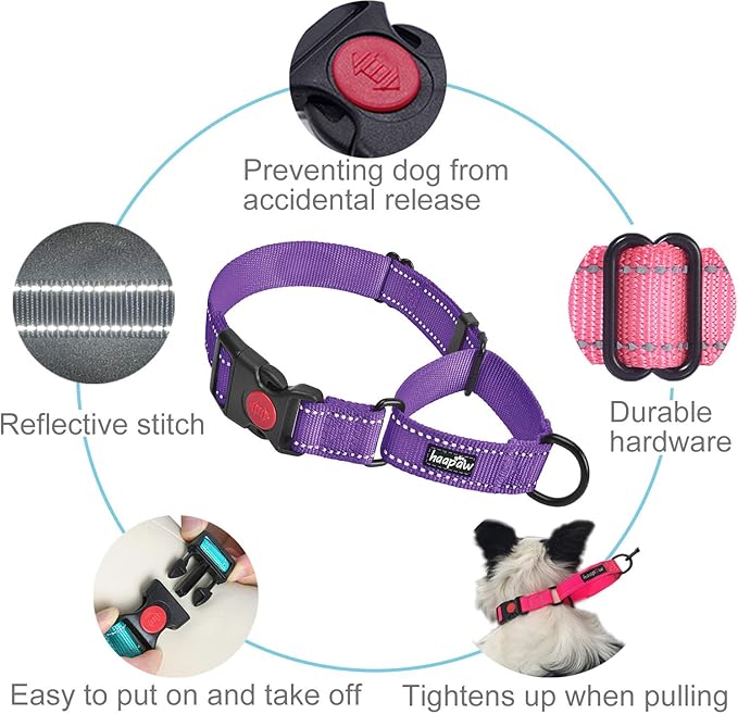 haapaw 2 Packs Martingale Dog Collar with Quick Release Buckle Reflective Dog Training Collars for Small Medium Large Dogs (Medium, Purple/Purple)