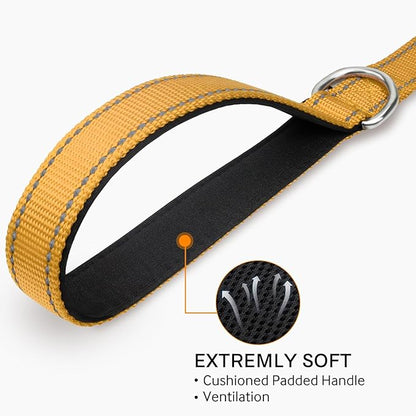 Joytale Double-Sided Reflective Dog Leash, 4 FT, Padded Handle Nylon Heavy Duty Leashes for Small & Medium Dogs Walking, Khaki
