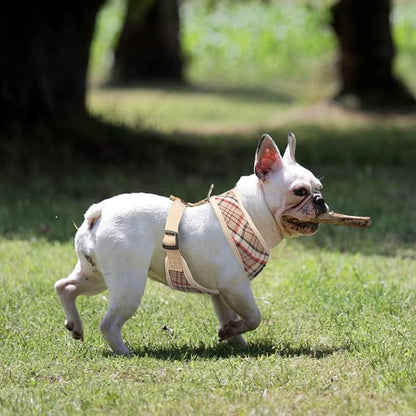 PUPTECK Soft Mesh Dog Harness and Leash Set Pet Puppy Cat Comfort Padded Vest No Pull Harnesses, Khaki, L