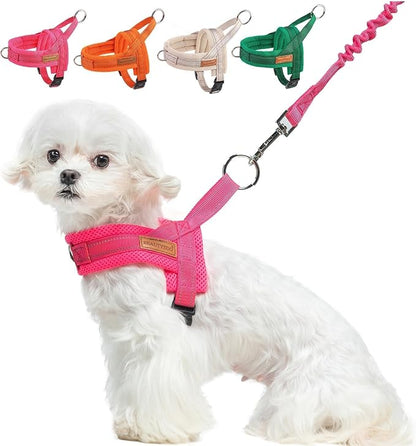 BEAUTYZOO Dog Harness for Small Dogs, No Pull Dog Harness and Leash Set, Soft Escape Proof Puppy Vest Harness with Handle, Reflective Lightweight Step in Harness for Girl Boy Dogs, Pink S