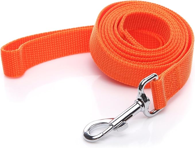 Nylon Dog Leash 10 Feet Long, Walking Training Dog Leashes for Medium Large Dogs, 1 Inch Wide (Orange)