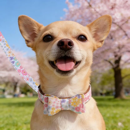 KOOLTAIL Small Dog Collar and Leash Set with Bowtie and Bells - Puppy Collar and Leash for Boy or Girl with Flower Matching Pattern, Soft Leather Tangle Free Leashes for Small Dogs,Cats