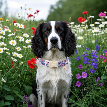 Lionet Paws Floral Dog Collar- Cute Spring Wildflowers Daisy Fleabane Dog Collars with Plastic Buckle,Light Adjustable Dog Collars for Medium Large Dogs