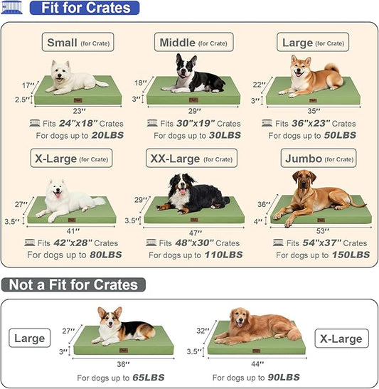 Tail Stories Outdoor Orthopedic Dog Bed for Medium Dogs & Cats, Waterproof Flat Pet Mat with Egg Crate Foam & Washable Removable Oxford Cover, 30x20 Inch, Light Green