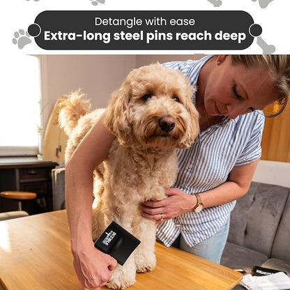 DOODLE ME THIS KINGSTON AND HAMILTON Slicker Brush for Dogs Kit Includes Comb Treat Pouch Bag and Guide Turns Stressful Grooming into bonding While Gently detangles matted Curly Wavy Coats.