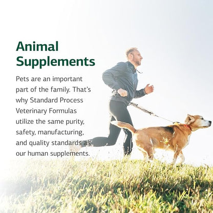 Standard Process Canine Musculoskeletal Support - Bone & Joint Health Formula for Pets - Canine Musculoskeletal Support Supplement - Supplement for Dogs to Aid Joint Comfort & Muscle Health - 30 g