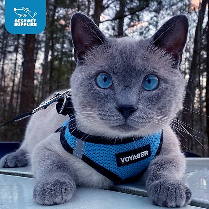 Best Pet Supplies Voyager Step-in Air Harness - All Weather Mesh, Reflective, No Pull Harness for Dogs, Cats - Secure with Hook & Loop Fastener, Buckle, Double D-Rings - Baby Blue/Black Trim, XL