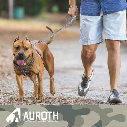 AUROTH Dog Leash Large Dogs, Heavy Duty Dog Leash Bungee, No Pull Leashes for Shock Absorption, Grey Dog Training Leashes for Medium Large Breed Dogs 6FT/4.5FT, 2 Padded Handles
