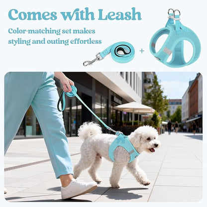 rabbitgoo Dog Harness Small Medium Sized and Leash Set, Step in Soft Light Puppy Vest, Breathable Mesh Pet Harness, Reflective for Safe Easy Walking, Mint Blue L