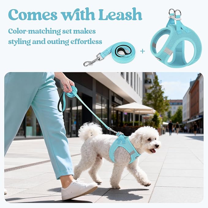 rabbitgoo Dog Harness Small Sized and Leash Set, Step in Soft Light Puppy Vest, Breathable Mesh Pet Harness, Reflective for Safe Easy Walking, Mint Blue XXXS