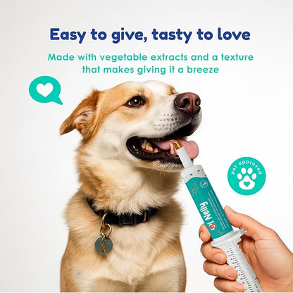 Prebiotic & Probiotic Dog Probiotic Paste, 6 Strains of Bacteria,18 Bi CFU's + Vitamins, Minerals- Upgraded Formula for Fast Balance GI, Dogs Probiotic Paste (14 g)
