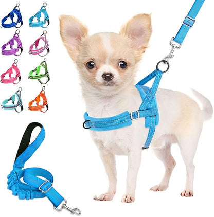 Lukovee No Pull Dog Harness and Leash Set, Soft Padded Small Dog Harness, Neck & Chest Adjustable Reflective Vest Puppy Harness with 4ft Lightweight Anti-Twist Dog Leash for Small Dogs (LBL, XXS)