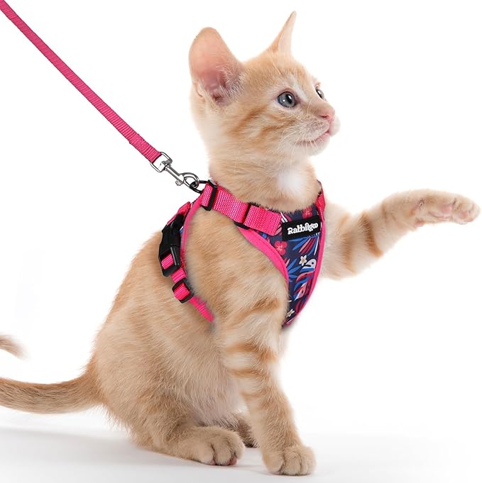 rabbitgoo Cat Harness and Leash for Walking, Escape Proof Soft Adjustable Vest Harnesses for Cats, Easy Control Breathable Reflective Strips Jacket, Coconut Fuchsia,XXS