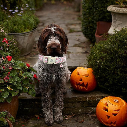 Elegant little tail Halloween Dog Collar, Ghosts Print Pink Halloween Pet Collars Cotton Soft Sturdy Puppy Collars Holiday Female Adjustable Collar for Small Dogs