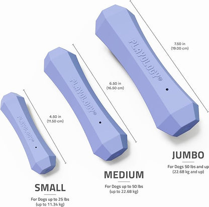 Playology Dog Toys | Durable Squeaky Chew Stick for Dogs | Jumbo Blueberry Scented Toy - Easy to Clean and Made from Non Toxic Materials