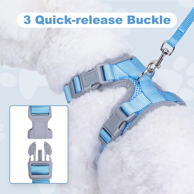Small Dog Harness and Leash Set, No Pull Adjustable Pet Harness for Small Dogs, Breathable Mesh Rflective Dog Vest Harness (Light Blue, XXS)