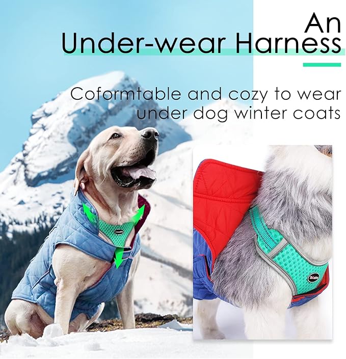 ThinkPet Reflective Breathable Soft Air Mesh No Pull Puppy Choke Free Over Head Vest Harness for Puppy Small Medium Dogs and Cats Teal Large