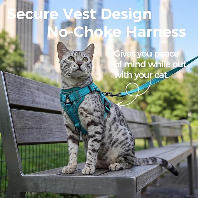 pangdi Cat Harness and Leash Set Escape Proof Tactical Medium Kitten Harness Emotional Support Cat Vest, Turquoise, M