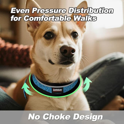 Dog Harness and Leash Set,Step in Small Sized Dog Harness,Soft Mesh,No-Chock,Reflective Adjustable,Secure with Hook & Loop Fastener,Puppy Vest for Small,Medium Dogs(Blue/Black,XS)