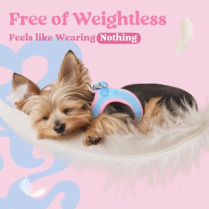 rabbitgoo Small Dog Harness, Step-in Soft Mesh Puppy Vest with Safety Buckle, Breathable Reflective Pet Harness for Extra Small Dogs, Blue & Light Pink XXXS