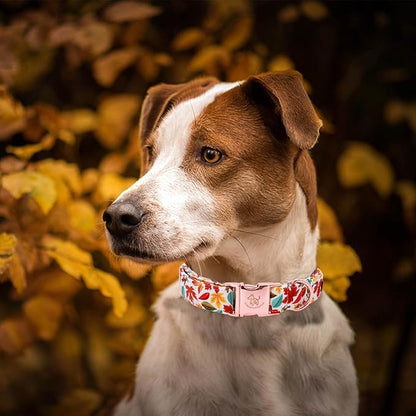 Elegant little tail Fall Dog Collar, Autumn Leaves Pet Collar Durable Dog Collars Male or Female Holiday Pet Gift Adjustable Dog Collar for X-Small Dogs