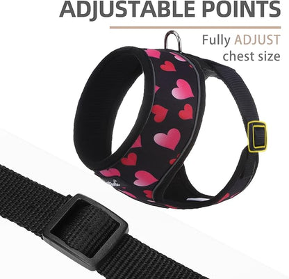 PUPTECK Soft Mesh Dog Harness and Leash Set Pet Puppy Cat Comfort Padded Vest No Pull Harnesses Valentine, Black&Pink, M