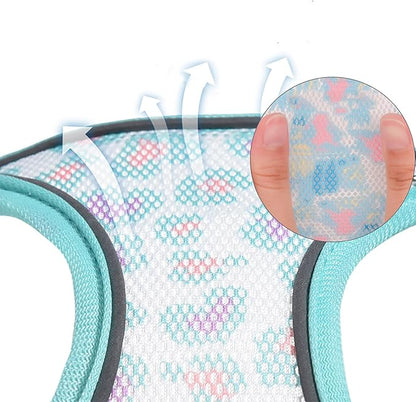 Step in Mesh Dog Harness and Leash Set - Breathable Air Mesh Reflective Escape Proof Vest - No Choke, Lightweight - Purple, XXS (Neck:8.5"-9.5", Chest:10"-11.5")