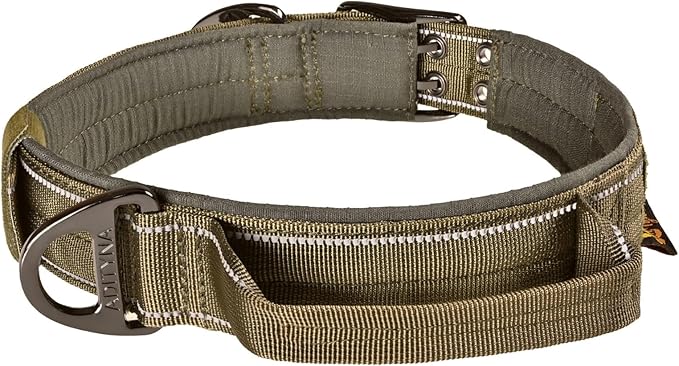 ADITYNA Heavy Duty Dog Collar for Medium Dogs - Reflective Green Collar with Handle for Training, and Walking - Wide, Thick, Tactical, Soft Neoprene Padded