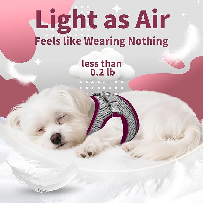 AIITLE Comfortable Dog Harness and Leash Set for Walking - Christmas Step in Vest Harness,Reflective Bands, Adjustable No Pull Puppy Essentials, for Small Dogs and House Cats Burgundy XS