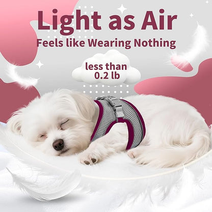 AIITLE Comfortable Dog Harness and Leash Set for Walking - Christmas Step in Vest Harness,Reflective Bands, Adjustable No Pull Puppy Essentials, for Small Dogs and House Cats Burgundy XS