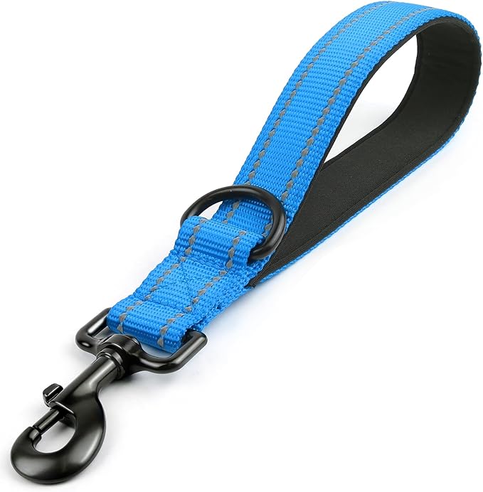 Joytale Strong Short Dog Leash 1FT, 1.2 Inch Wide, Heavy Duty, Padded Handle for Traffic Control, Reflective Leash for Medium and Large Dogs Walking Training, Aqua Blue
