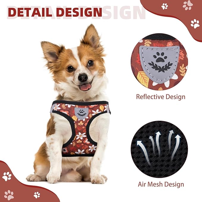 KOOLTAIL Fall Dog Harness and Leash Set for Small Medium Dogs, Autumn Step in No Pull Comfort Padded Pet Vest, Adjustable Reflective Easy Walking Puppy Cats Harness Training, Leaf & Flower M