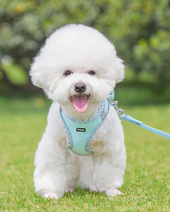 Petank Dog Harness for Small Medium Dogs No Pull, Puppy Harness and Leash Set, Step in Dog Harness for Walking, Running, Training, Small Dog Vest(Light Blue, S)